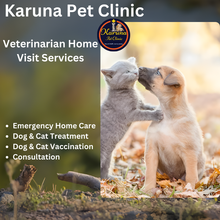KPC Veterinarian Home Visit