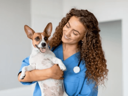 Veterinarian Online Consultation