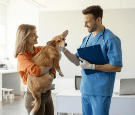 Free online vet consultation